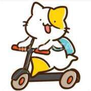 ヒメ日記 2025/11/14 09:18 投稿 西条　響 タッチVIP