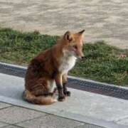 西条　響 ありがとう♡ タッチVIP