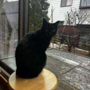 ヒメ日記 2026/03/13 03:12 投稿 ☆えな☆ 100％本人が来る店！！デリヘル『ロイヤルフラッシュ』