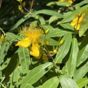 ヒメ日記 2025/06/05 11:53 投稿 沢口 りりこ La elf（ラ・エルフ）