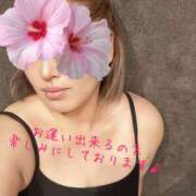 ヒメ日記 2025/06/16 18:33 投稿 沢口 りりこ La elf（ラ・エルフ）