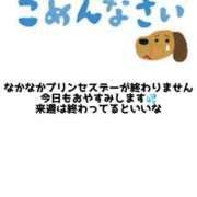 ヒメ日記 2026/01/30 08:13 投稿 沢口 りりこ La elf（ラ・エルフ）