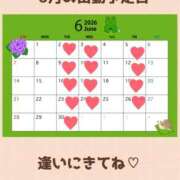 沢口 りりこ 6月はたくさん逢いたいな La elf（ラ・エルフ）