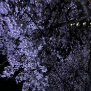 ヒメ日記 2025/06/16 04:18 投稿 まや クイーン＆プリンセス【完全日本人専門店】