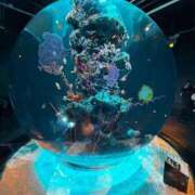 ヒメ日記 2025/07/31 17:34 投稿 夜乃かぐや ESTE ALLURE