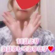 ヒメ日記 2025/08/12 10:54 投稿 心和（ここな） PLUS難波店