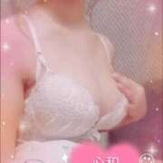 ヒメ日記 2025/08/13 13:11 投稿 心和（ここな） PLUS難波店