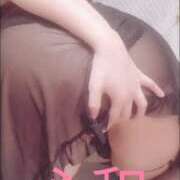 ヒメ日記 2025/09/21 11:04 投稿 心和（ここな） PLUS難波店