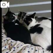 ヒメ日記 2026/01/19 09:42 投稿 心和（ここな） PLUS難波店