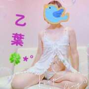 橘乙葉 お散歩… 五十路マダム　広島店