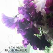 ヒメ日記 2025/05/23 09:44 投稿 みれい シェリーエンジェル