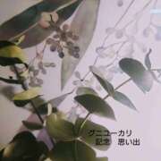 ヒメ日記 2025/05/26 14:58 投稿 みれい シェリーエンジェル