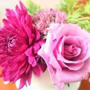 ヒメ日記 2025/05/29 11:00 投稿 みれい シェリーエンジェル