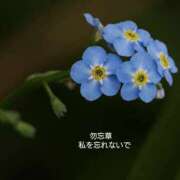 ヒメ日記 2025/06/01 08:30 投稿 みれい シェリーエンジェル