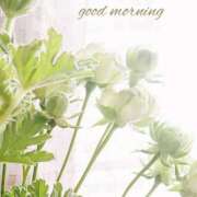 ヒメ日記 2025/06/20 08:00 投稿 みれい シェリーエンジェル