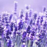 ヒメ日記 2025/06/26 20:38 投稿 みれい シェリーエンジェル