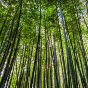 ヒメ日記 2025/07/07 07:35 投稿 みれい シェリーエンジェル