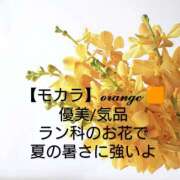 ヒメ日記 2025/07/12 19:12 投稿 みれい シェリーエンジェル