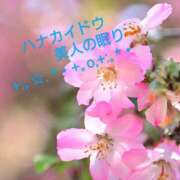 ヒメ日記 2025/07/19 22:28 投稿 みれい シェリーエンジェル