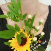 ヒメ日記 2025/07/24 21:27 投稿 みれい シェリーエンジェル