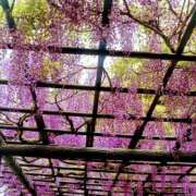 ヒメ日記 2025/07/25 21:31 投稿 みれい シェリーエンジェル