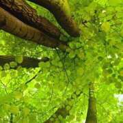 ヒメ日記 2025/08/07 23:24 投稿 みれい シェリーエンジェル