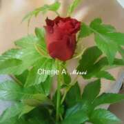 ヒメ日記 2025/08/29 08:00 投稿 みれい シェリーエンジェル