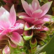 ヒメ日記 2025/08/31 23:05 投稿 みれい シェリーエンジェル