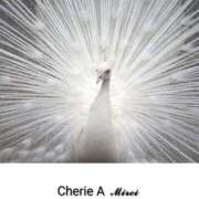 ヒメ日記 2025/09/07 17:16 投稿 みれい シェリーエンジェル