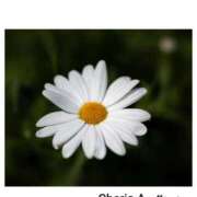 ヒメ日記 2025/09/21 17:57 投稿 みれい シェリーエンジェル