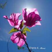 ヒメ日記 2025/10/02 17:03 投稿 みれい シェリーエンジェル