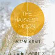 ヒメ日記 2025/10/05 19:59 投稿 みれい シェリーエンジェル
