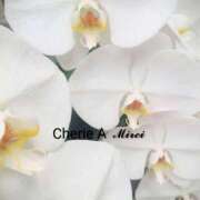 ヒメ日記 2025/10/11 22:53 投稿 みれい シェリーエンジェル