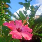 ヒメ日記 2025/10/16 14:49 投稿 みれい シェリーエンジェル