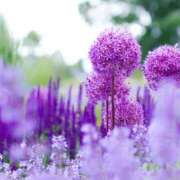 ヒメ日記 2025/10/20 20:30 投稿 みれい シェリーエンジェル