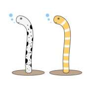 ヒメ日記 2025/11/11 08:14 投稿 みれい シェリーエンジェル