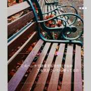 ヒメ日記 2025/11/15 06:00 投稿 みれい シェリーエンジェル