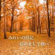 ヒメ日記 2025/11/24 08:30 投稿 みれい シェリーエンジェル