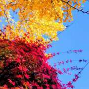 みれい おはようございます🐔 シェリーエンジェル