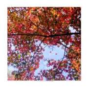 みれい 出来上がった時間🍺𖦹‎' ‐ '𖦹 シェリーエンジェル