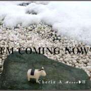 ヒメ日記 2026/01/07 11:45 投稿 みれい シェリーエンジェル