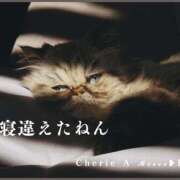 ヒメ日記 2026/01/22 09:36 投稿 みれい シェリーエンジェル