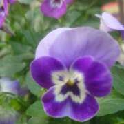 ヒメ日記 2026/02/10 22:56 投稿 みれい シェリーエンジェル