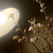 みれい 春の足音🌸 シェリーエンジェル