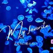 ヒメ日記 2026/03/14 19:24 投稿 みれい シェリーエンジェル