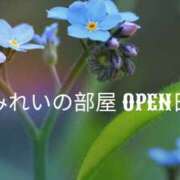 ヒメ日記 2026/03/17 05:44 投稿 みれい シェリーエンジェル