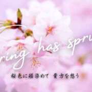 ヒメ日記 2026/03/20 08:30 投稿 みれい シェリーエンジェル