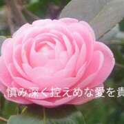 ヒメ日記 2026/03/27 15:45 投稿 みれい シェリーエンジェル