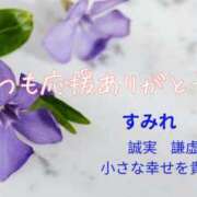 ヒメ日記 2026/03/31 08:30 投稿 みれい シェリーエンジェル