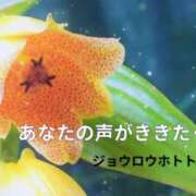 みれい 耳弱し声に惹かれ*:･(*˘︶˘*).｡* シェリーエンジェル